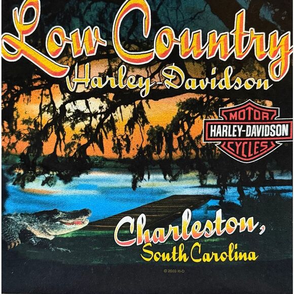 Vintage 2001 Harley-Davidson T-Shirt L Got Asphalt Low Country Charleston SC USA - Picture 3 of 6